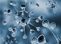 玩彩网体内体外药效试验顺遂通过药监局审查