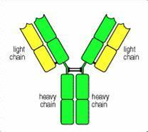 玩彩网·「中国区」官方网站