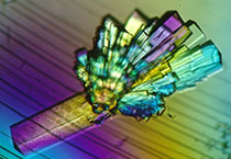 玩彩网副总裁金晓玮博士等一行出席了在上海举行的中国科学手艺大学校友会沙龙