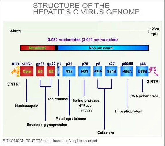 玩彩网·「中国区」官方网站