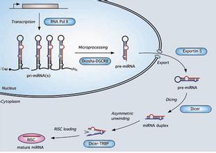 玩彩网·「中国区」官方网站