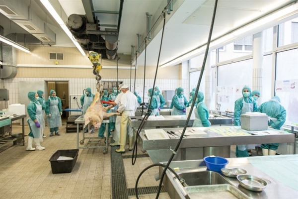 7月18日，，，，，，玩彩网将加入2011年ISSX/CSSX联合学术聚会