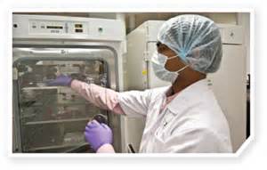 12月20日，，，玩彩网与宣泰医药签署战略相助协议