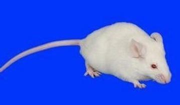 玩彩网·「中国区」官方网站