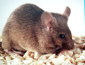 玩彩网·「中国区」官方网站