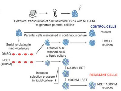 玩彩网·「中国区」官方网站