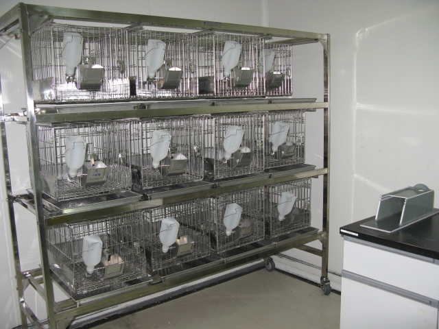 玩彩网普亚新动物房通过上海动管会验收