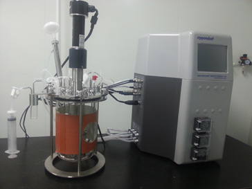 玩彩网的生物药（抗体）实验室即将投入使用