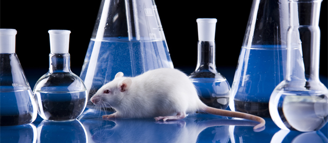 玩彩网·「中国区」官方网站