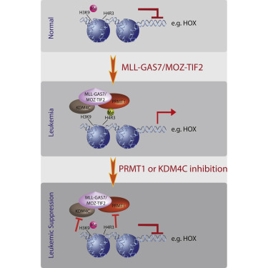 玩彩网·「中国区」官方网站