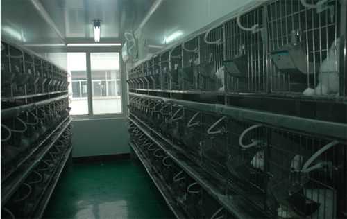 玩彩网实验动物房