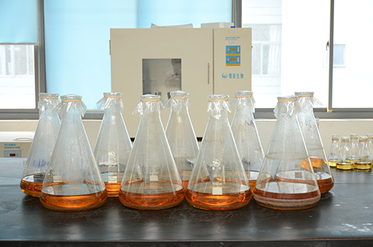 玩彩网制剂中心GMP中试车间完工