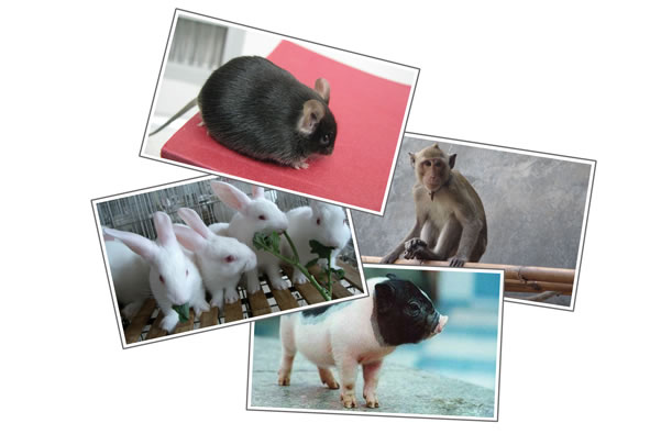 玩彩网·「中国区」官方网站