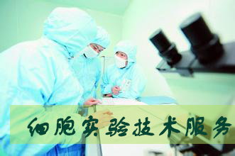 玩彩网·「中国区」官方网站