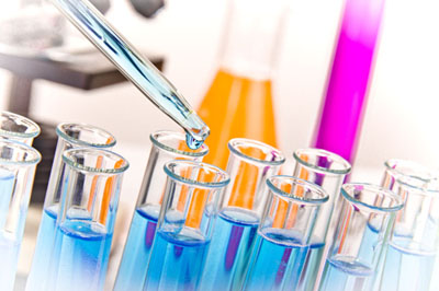 玩彩网生物实验