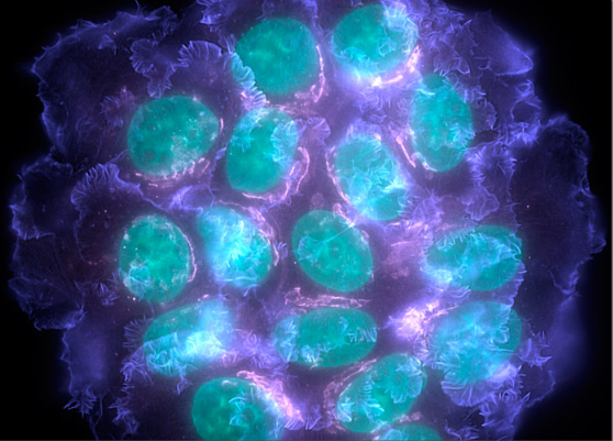 玩彩网·「中国区」官方网站