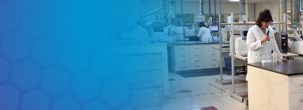 玩彩网·「中国区」官方网站