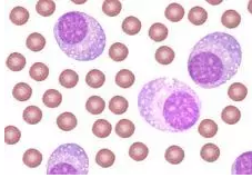 玩彩网·「中国区」官方网站