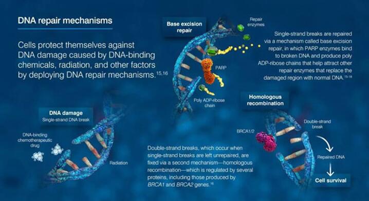 玩彩网·「中国区」官方网站