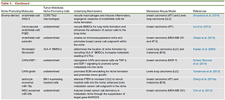 玩彩网·「中国区」官方网站