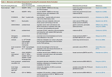 玩彩网·「中国区」官方网站