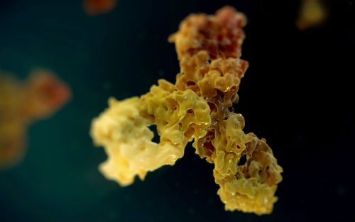 玩彩网·「中国区」官方网站