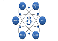 玩彩网药效动物模子服务平台