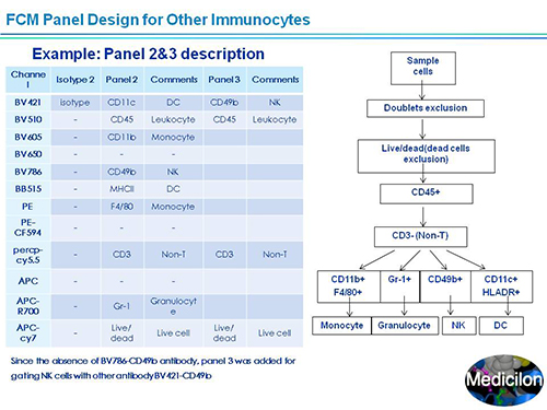 玩彩网副总裁汪俊博士SAPA-DC聚会演讲PPT