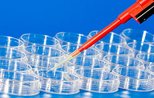 玩彩网·「中国区」官方网站