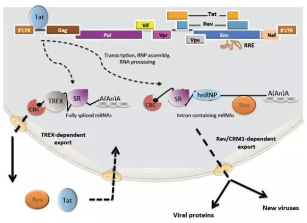 玩彩网·「中国区」官方网站