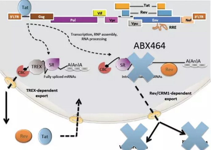 玩彩网·「中国区」官方网站