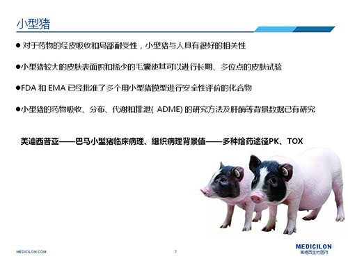 皮肤涂抹试验中，，，，，，受试动物选择小型猪更好