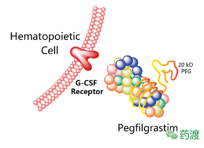 玩彩网·「中国区」官方网站