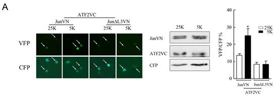 玩彩网·「中国区」官方网站