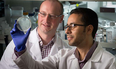 玩彩网·「中国区」官方网站