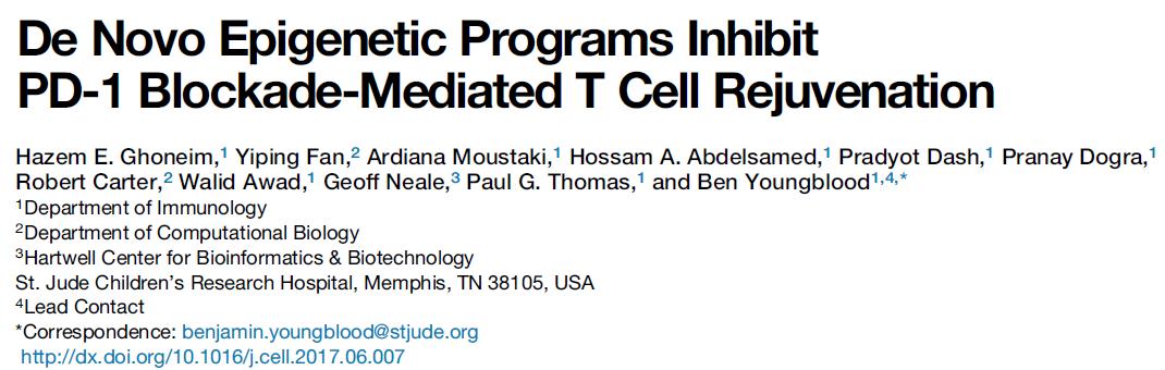 玩彩网·「中国区」官方网站