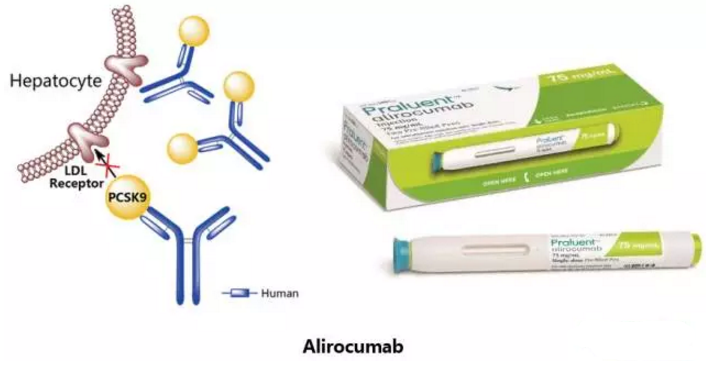 玩彩网·「中国区」官方网站