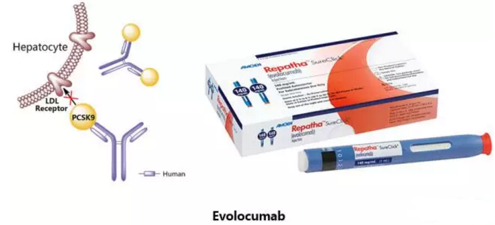 玩彩网·「中国区」官方网站