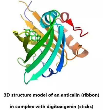 玩彩网·「中国区」官方网站