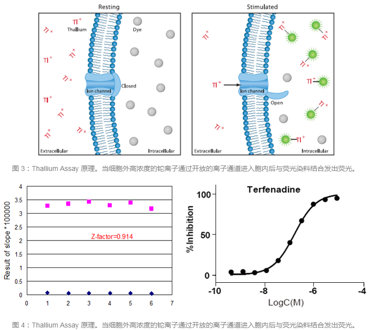 玩彩网·「中国区」官方网站