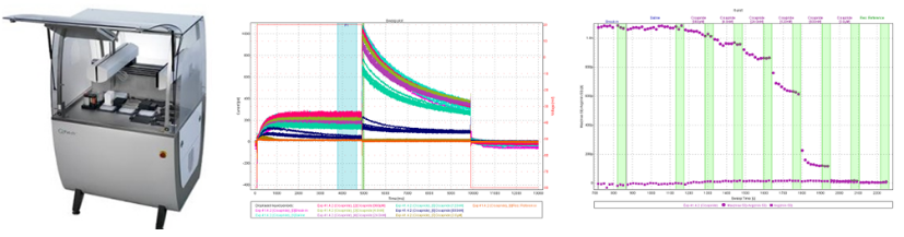 玩彩网·「中国区」官方网站