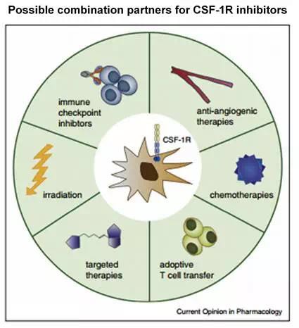 玩彩网·「中国区」官方网站