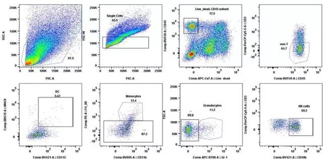 玩彩网·「中国区」官方网站