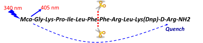 玩彩网·「中国区」官方网站