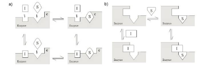 玩彩网·「中国区」官方网站