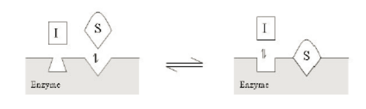 玩彩网·「中国区」官方网站