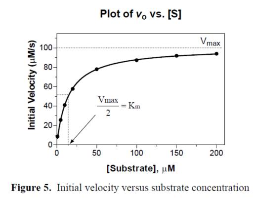 玩彩网·「中国区」官方网站