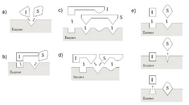 玩彩网·「中国区」官方网站
