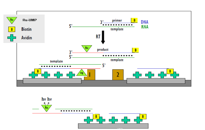 玩彩网·「中国区」官方网站
