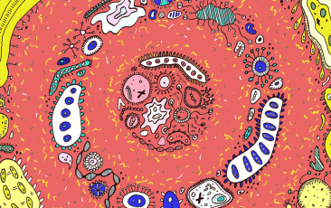 玩彩网·「中国区」官方网站